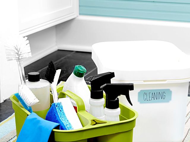 cleaning-supplies-rug-d01e00e8-b2b8bc2945db489e822695922e65f3ec